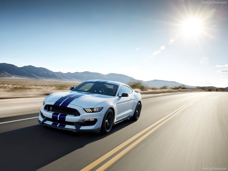 Ford-Mustang_Shelby_GT350_2016_800x600_wallpaper_05