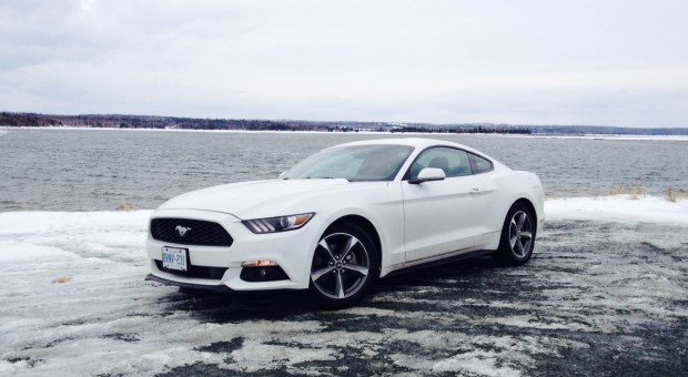 Test Drive: 2015 Ford Mustang V6 Fastback